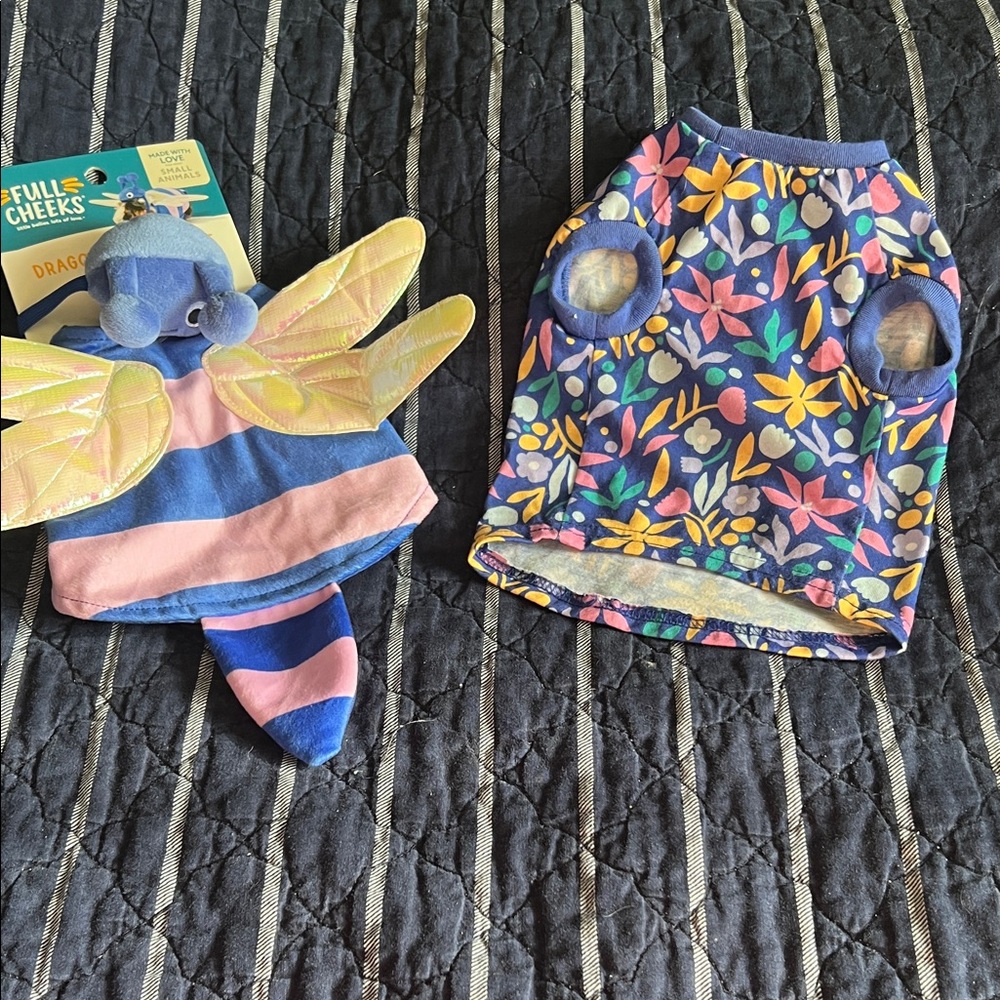 Small pet, guinea pig chihuahua costume and shirt.